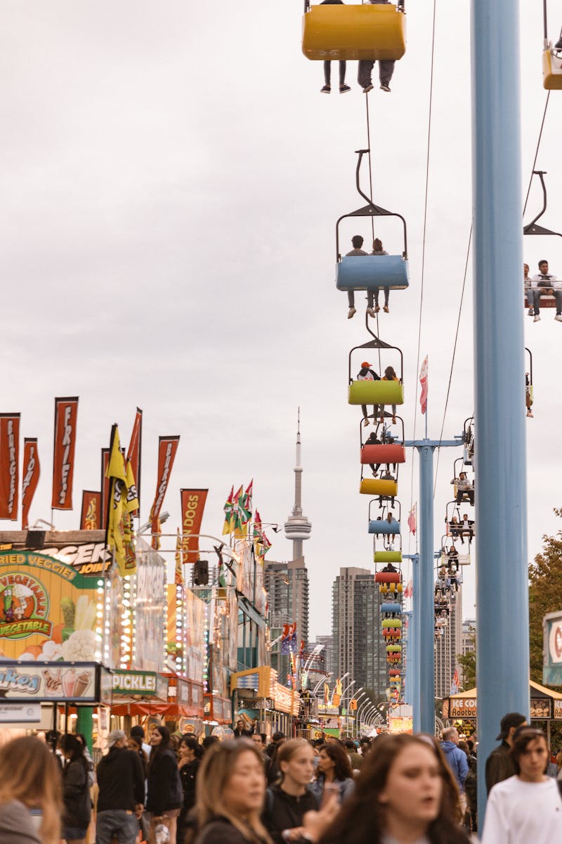 Amusement Park Maintenance